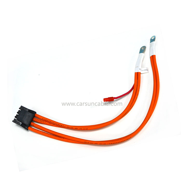 New Energy Power Connection Wire EV6mm² Harness MOLEX:172672-3004 Terminal Connection Wire Customised